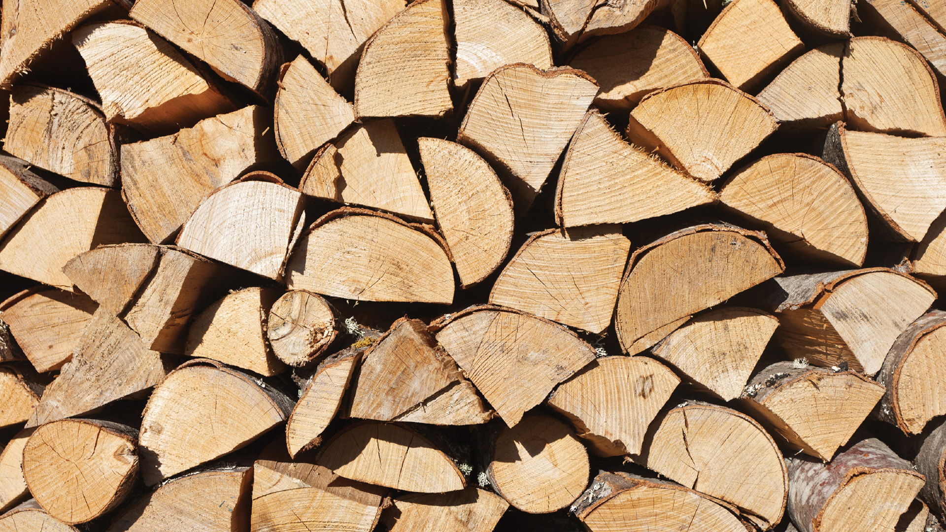 Bois de chauffage