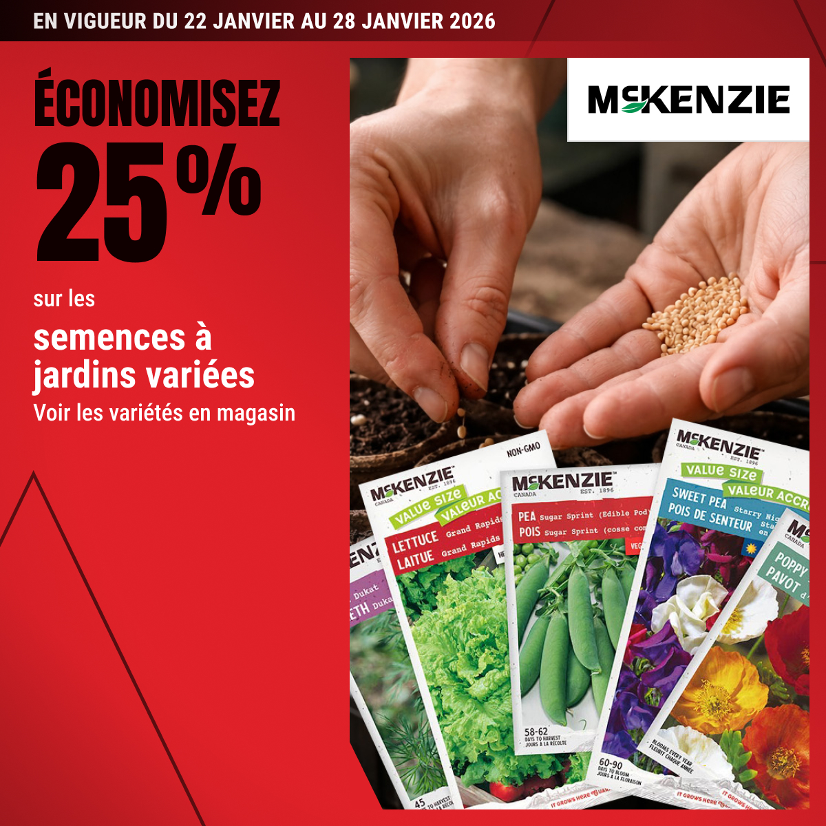 Économisez 25% sur les semences à jardins variées!
