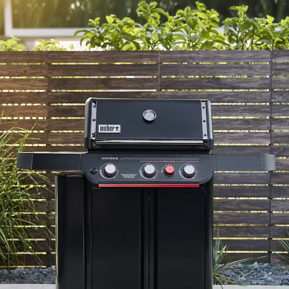 Barbecues au gaz propane