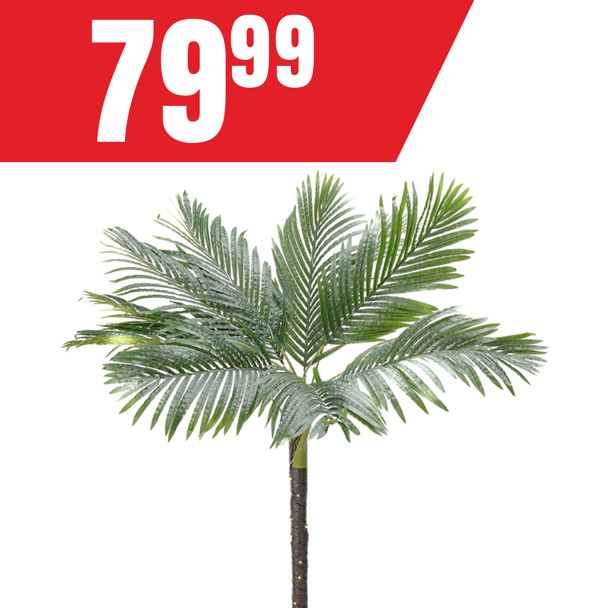 Palmier SOLAIRE à DEL à seulement 79,99$!
