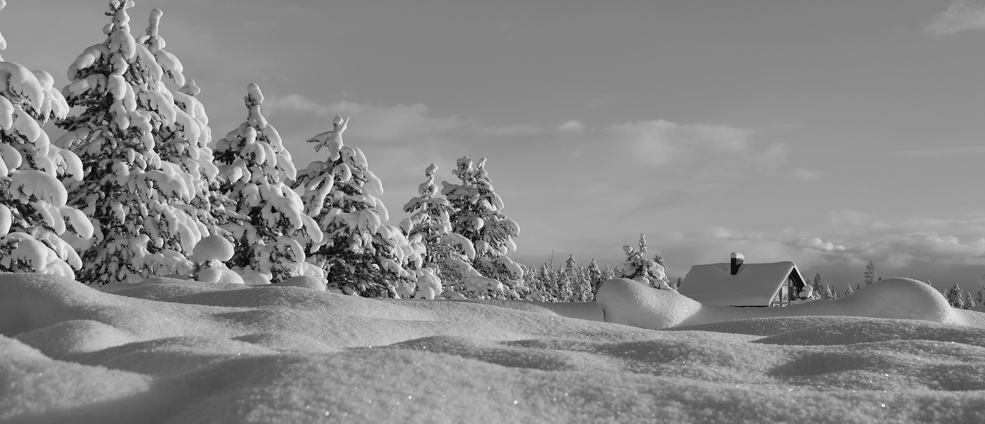 Produits hivernaux