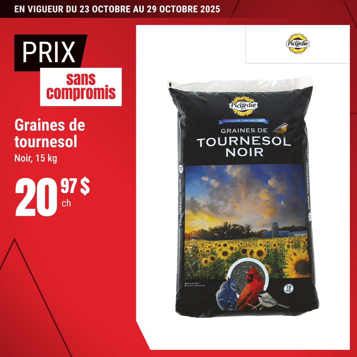 Offre irrésistible : les graines de tournesol à seulement 20,97$!