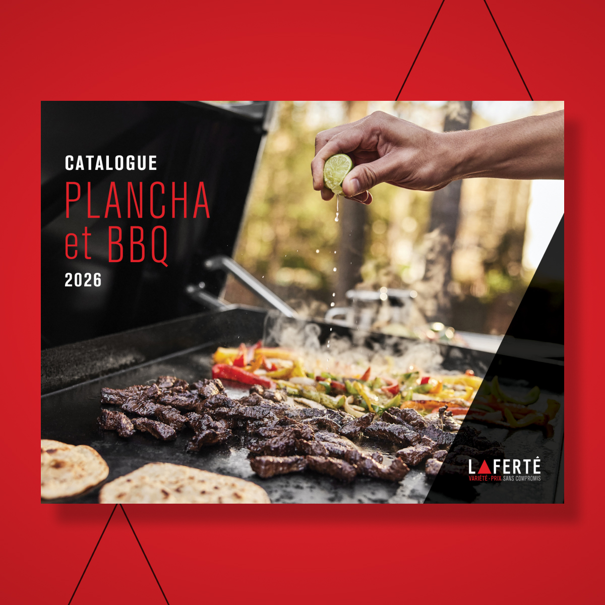 Découvre notre catalogue plancha et BBQ 2026!