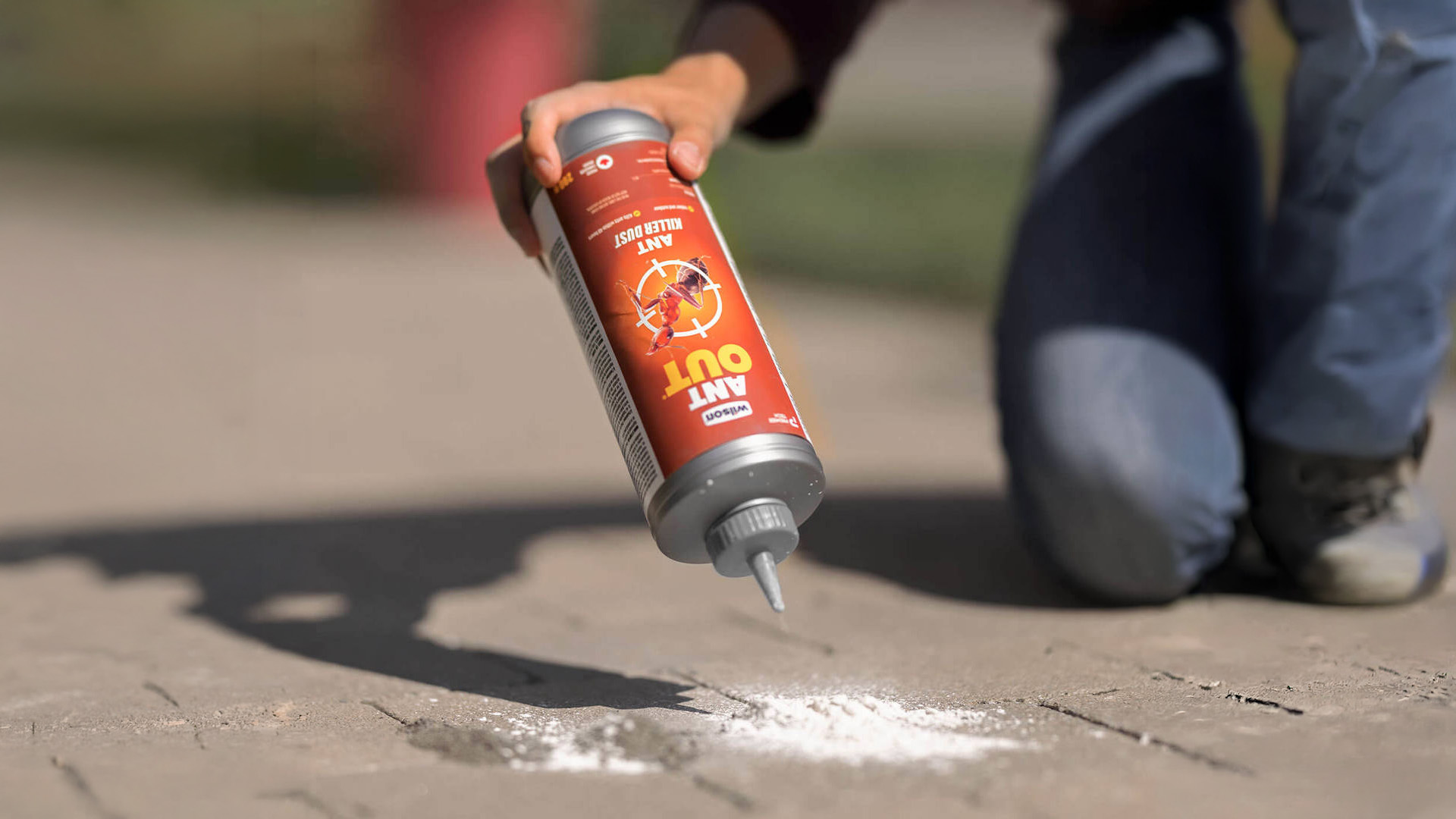 Insecticides pour fourmis