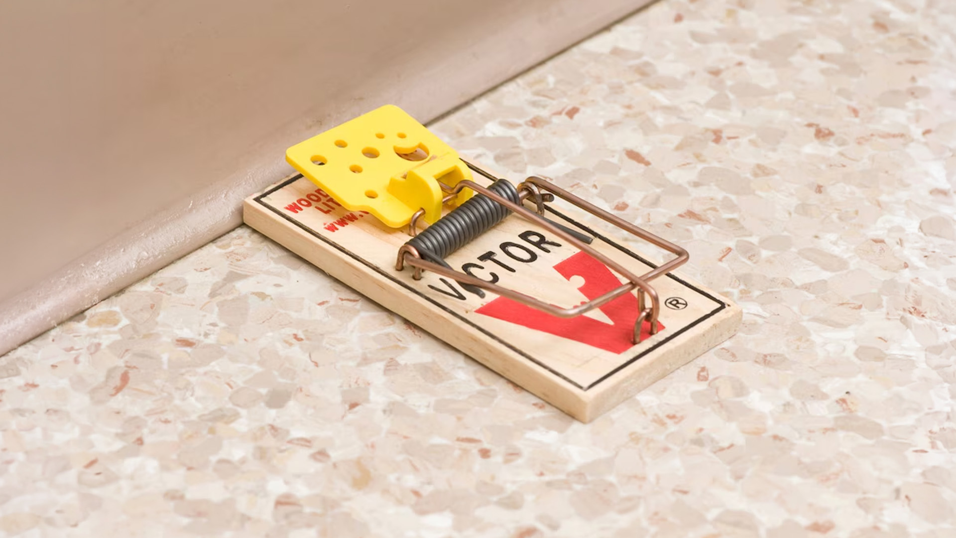 Rodenticides pour rongeurs